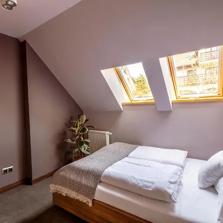 Cam In Duszniki Zdrój